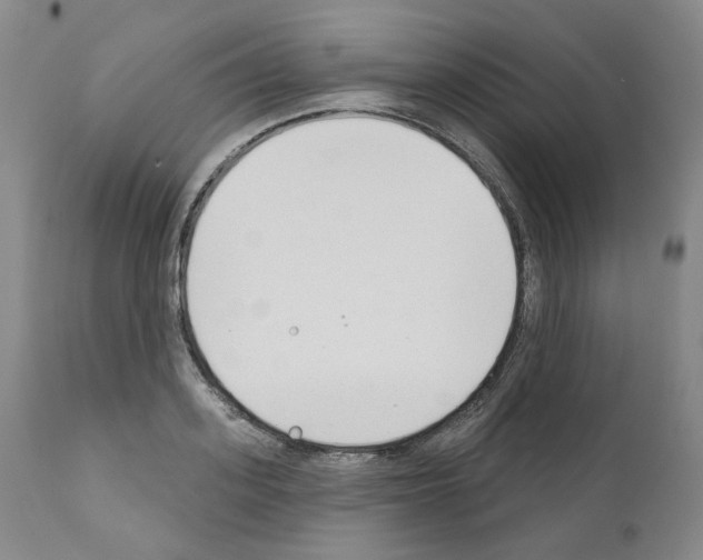 X0000110900939200907301603