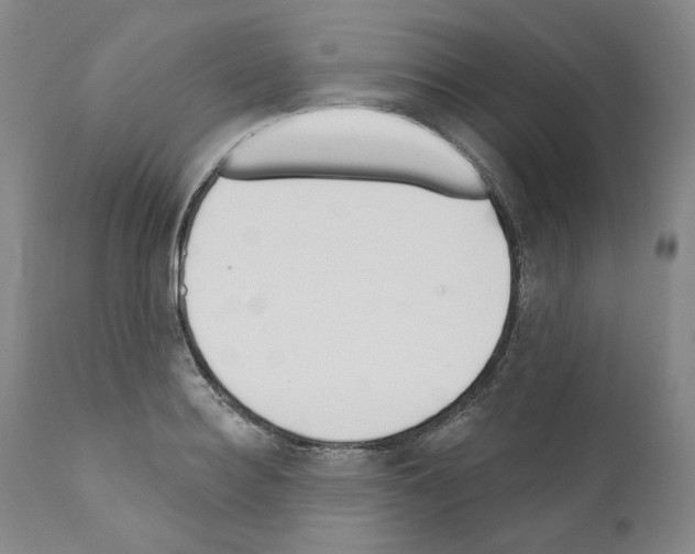 X0000110900940200907301603