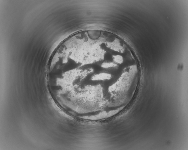 X0000110900941200907301603