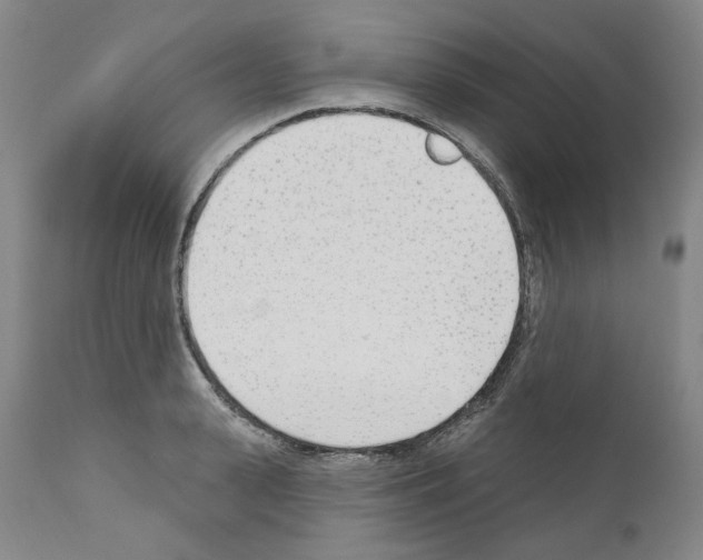 X0000110900943200907301603