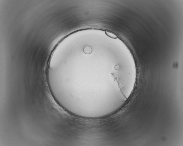 X0000110900944200907301603