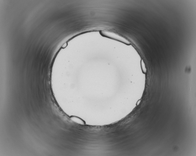 X0000110900948200907301603