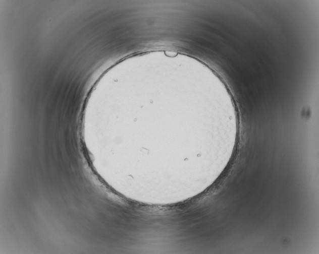 X0000110900949200907301603