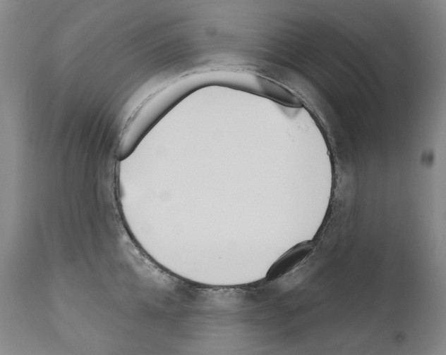 X0000110900952200907301603