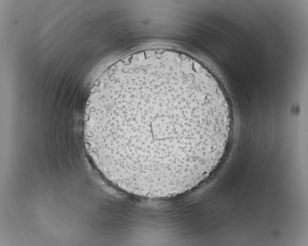 X0000110900953200907301603