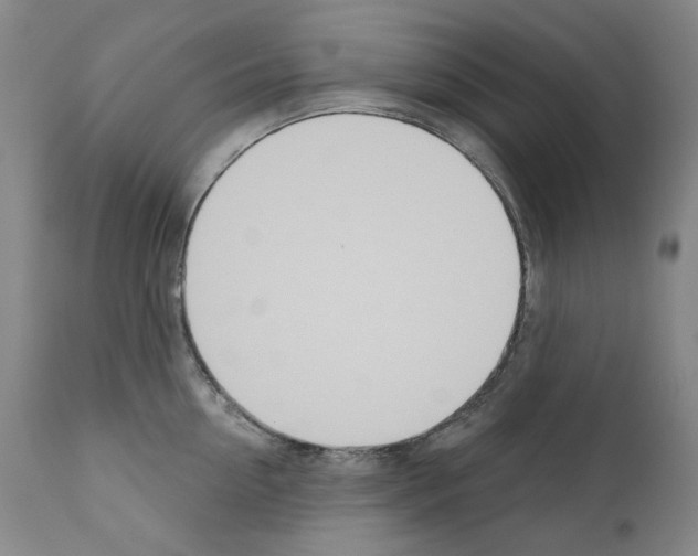 X0000110900954200907301603