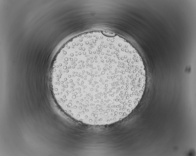 X0000110900955200907301603