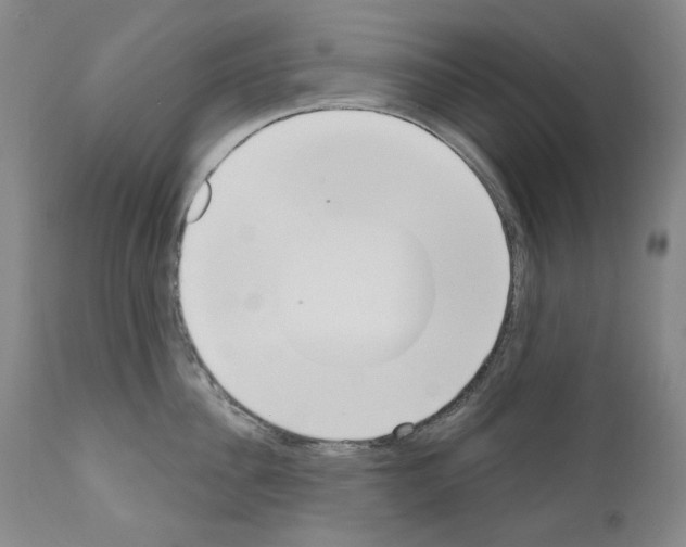 X0000110900956200907301603