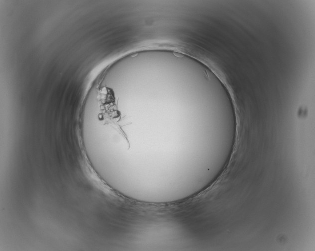 X0000110900960200907301603