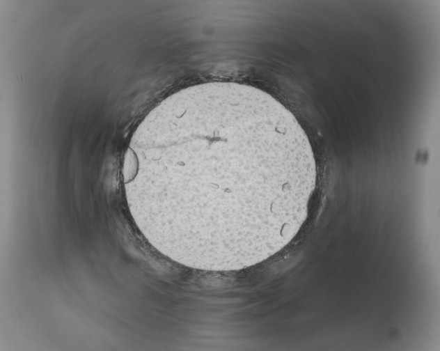 X0000110900962200907301603