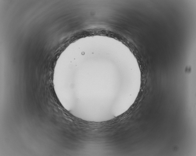 X0000110900965200907301603