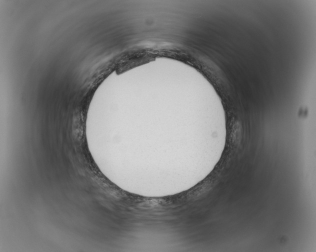 X0000110900966200907301603