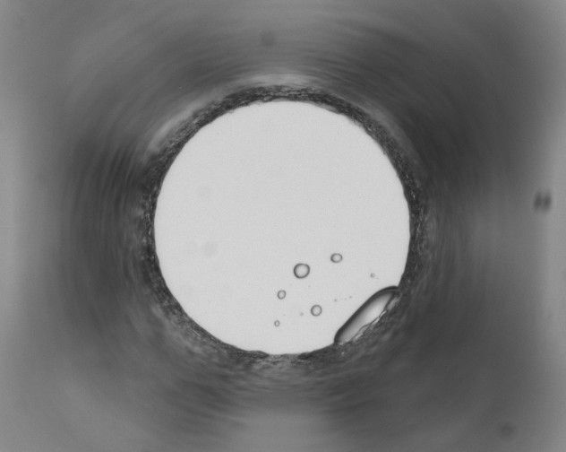 X0000110900967200907301603