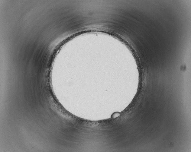 X0000110900971200907301603