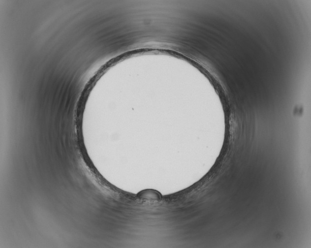 X0000110900972200907301603