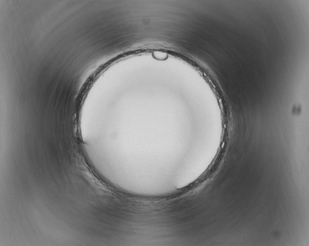 X0000110900973200907301603