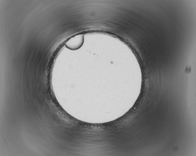 X0000110900975200907301603