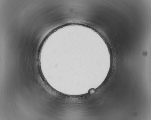 X0000110900976200907301603