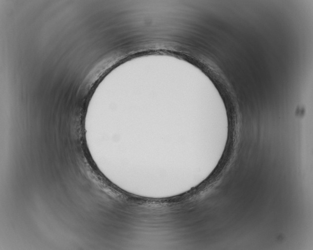 X0000110900977200907301603