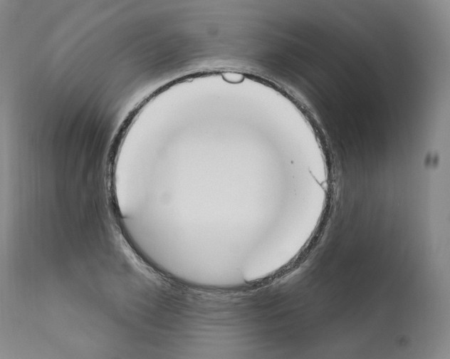 X0000110900981200907301602