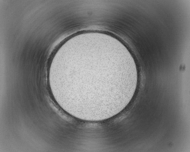 X0000110900982200907301602