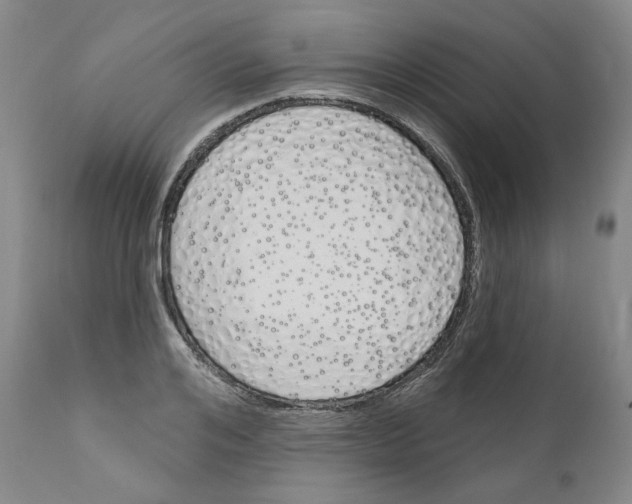 X0000110900984200907301602