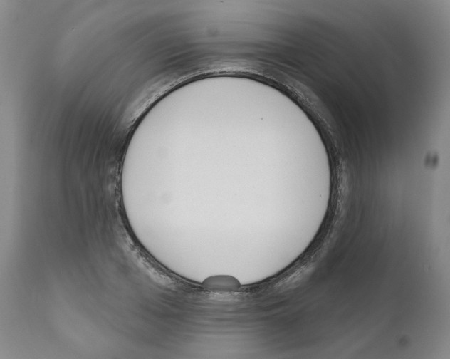 X0000110900985200907301602