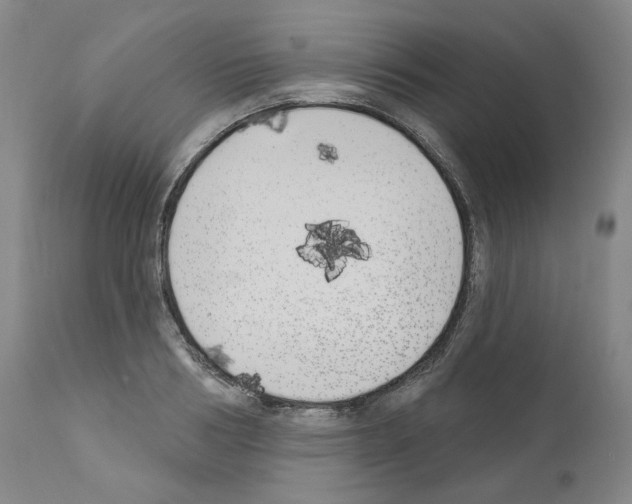 X0000110900986200907301602