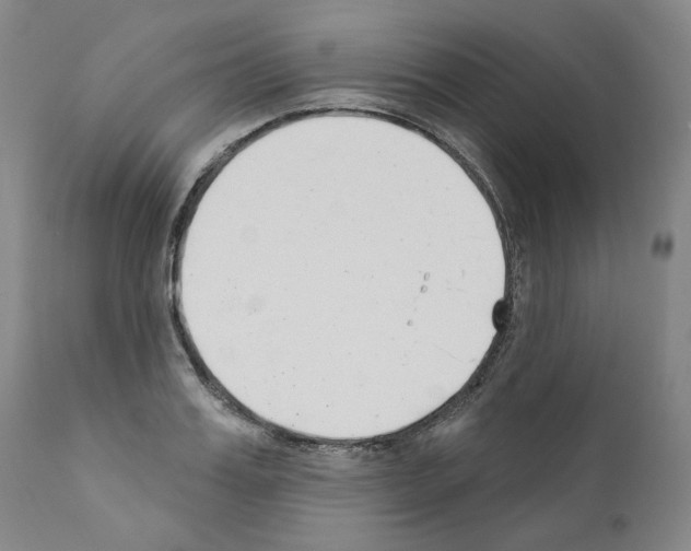 X0000110900987200907301602