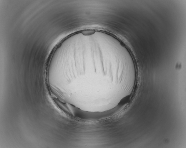 X0000110900989200907301602