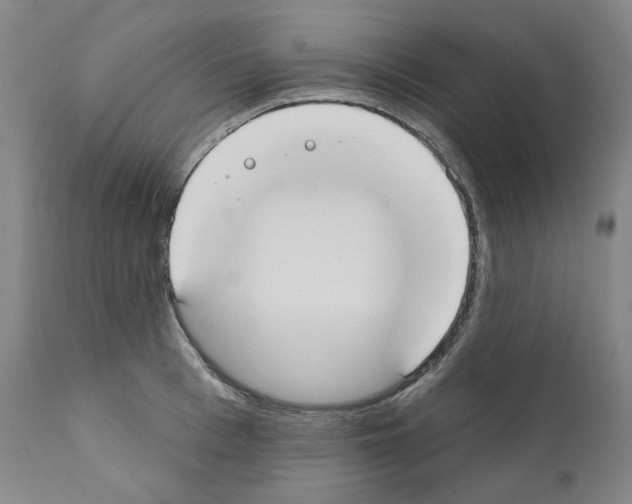 X0000110900993200907301602