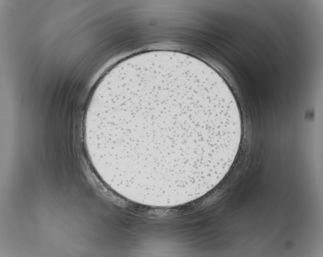 X0000110901000200907301602