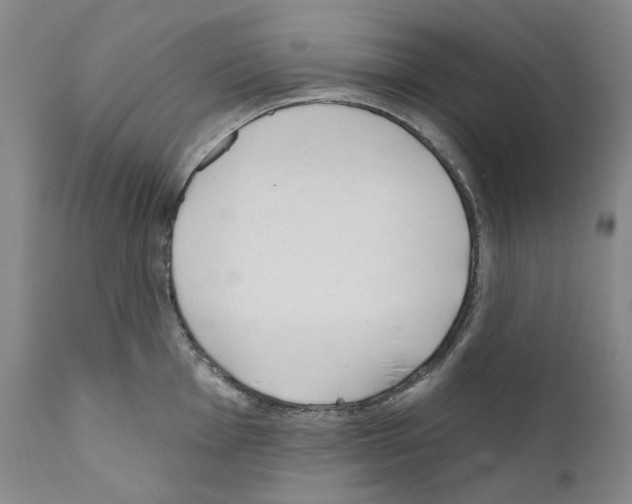 X0000110901001200907301602