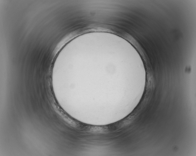 X0000110901002200907301602