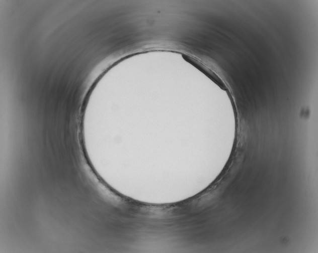 X0000110901005200907301602