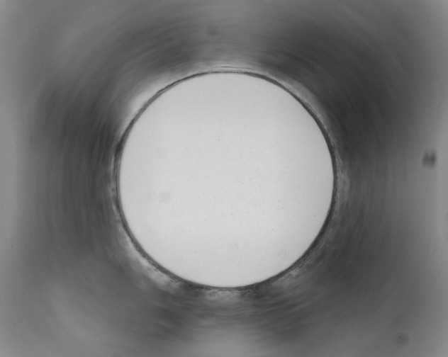 X0000110901006200907301602