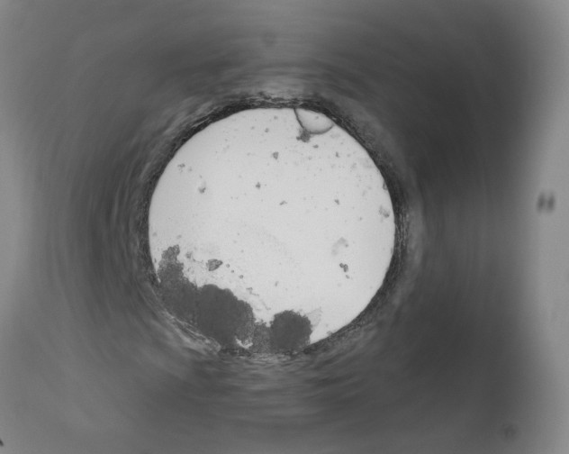 X0000110901009200907301601