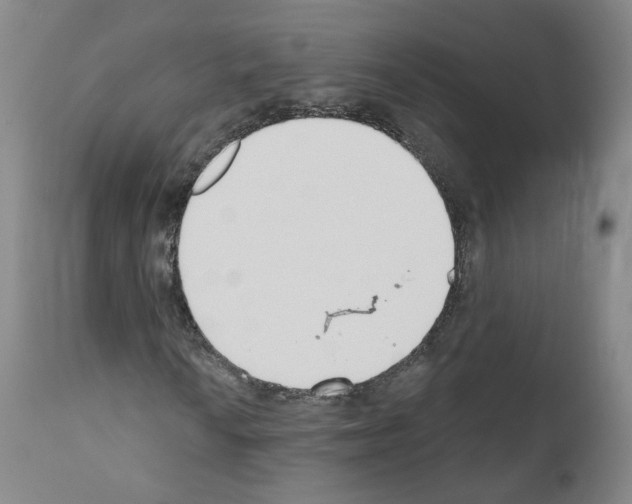 X0000110901010200907301601