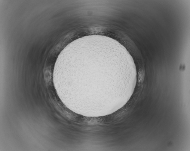 X0000110901011200907301601