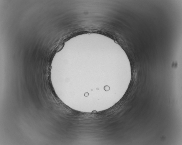 X0000110901012200907301601