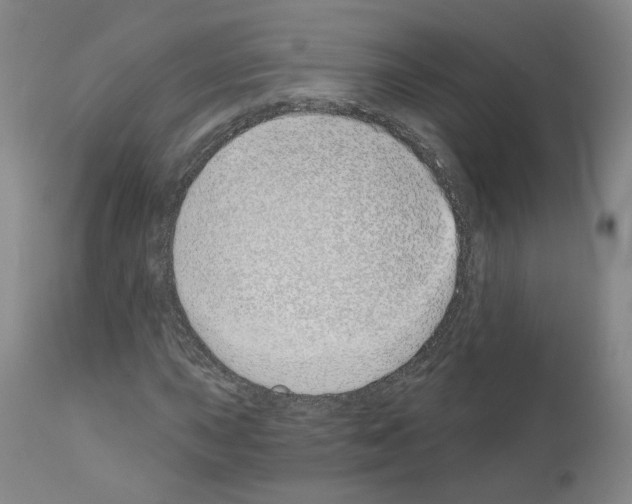 X0000110901015200907301601