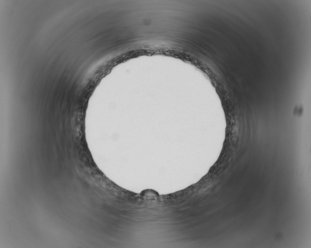 X0000110901016200907301601