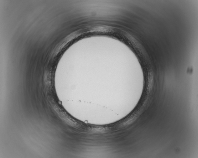 X0000110901017200907301601