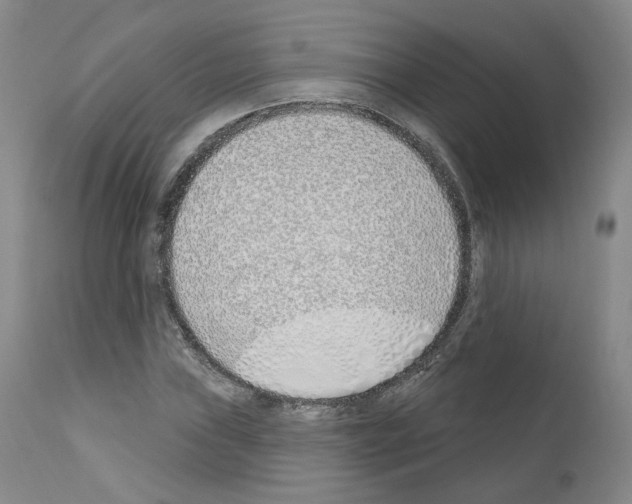 X0000110901019200907301601