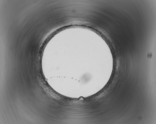 X0000110901021200907301601