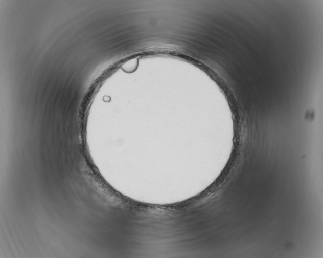 X0000110901022200907301601