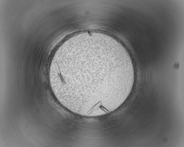 X0000110901023200907301602