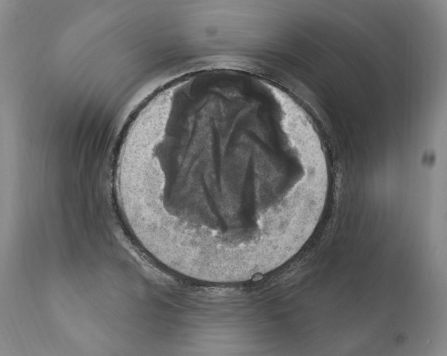 X0000110901024200907301602