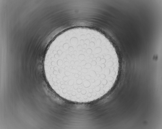 X0000110901025200907301602