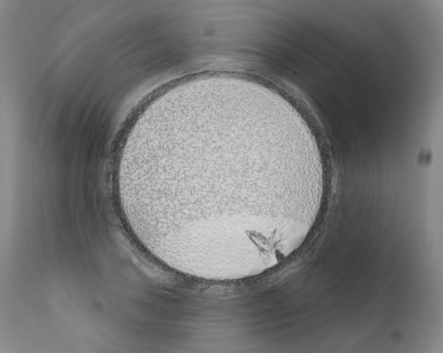 X0000110901027200907301602